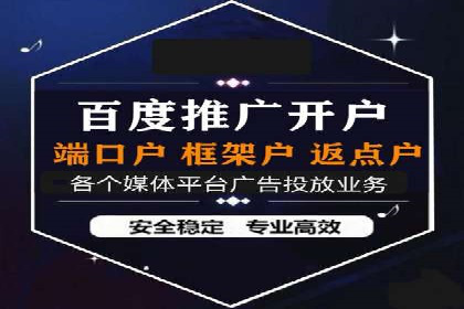 某品牌通过SEM优化实现品牌增长的故事